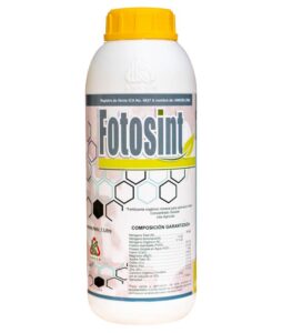 Fotosint